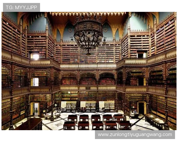 提升体验：d88尊龙会员注册后不可不知的功能汇总