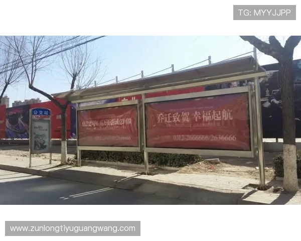 尊龙d88登录入口官方入口地址及其安全性全面解析与使用技巧