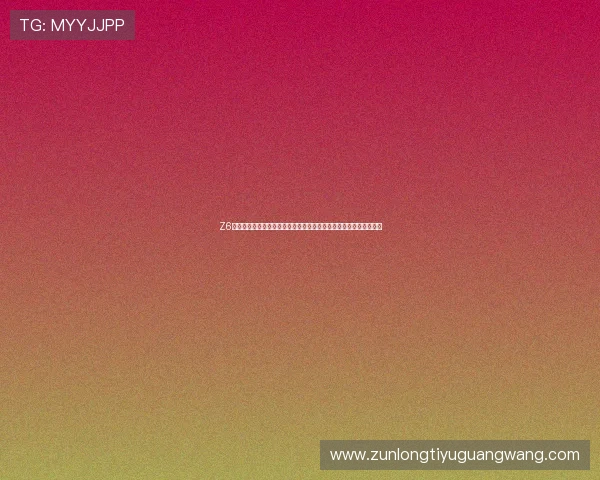 Z6尊龙真人视讯的技术支持与客户服务全方位解析，保障您的游戏体验